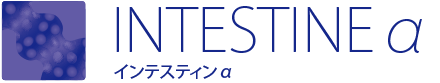INTESTINEα インテスティンα