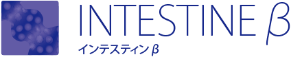 INTESTINEβ インテスティンβ